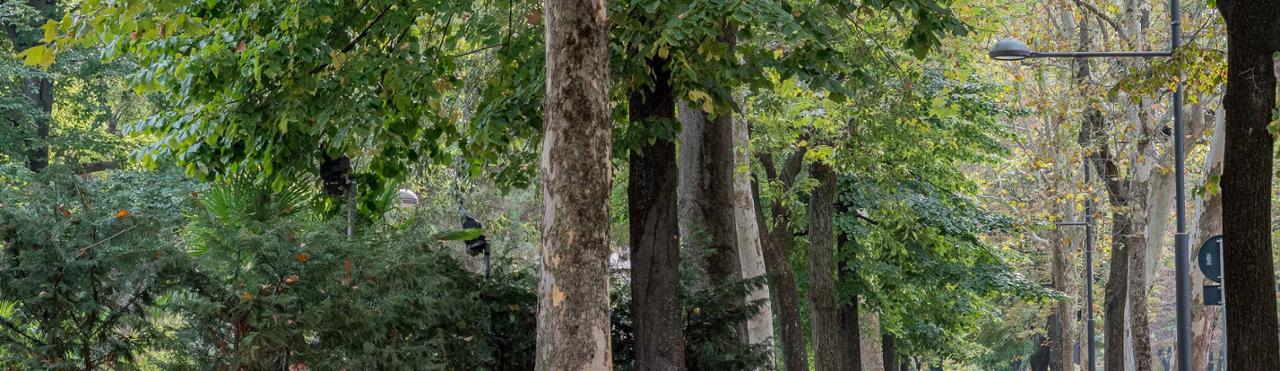 QUATTRO PASSI IN VIALE DEGLI ANGELI A CUNEO
